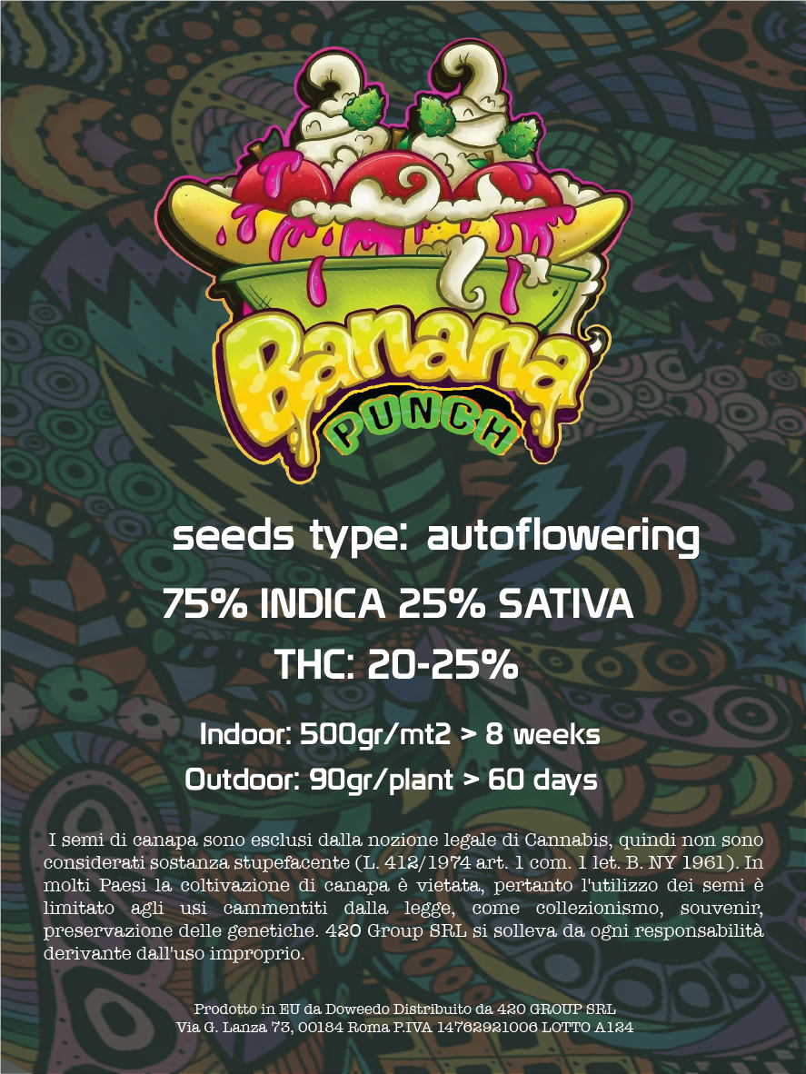 Banana Punch Semi di Cannabis Femminizzati THC Auto Seeds | THC 20-25% - MamaMary