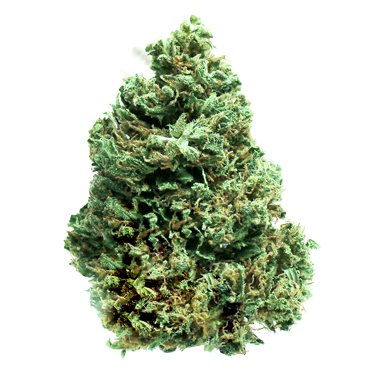 White Widow HIGH CBD