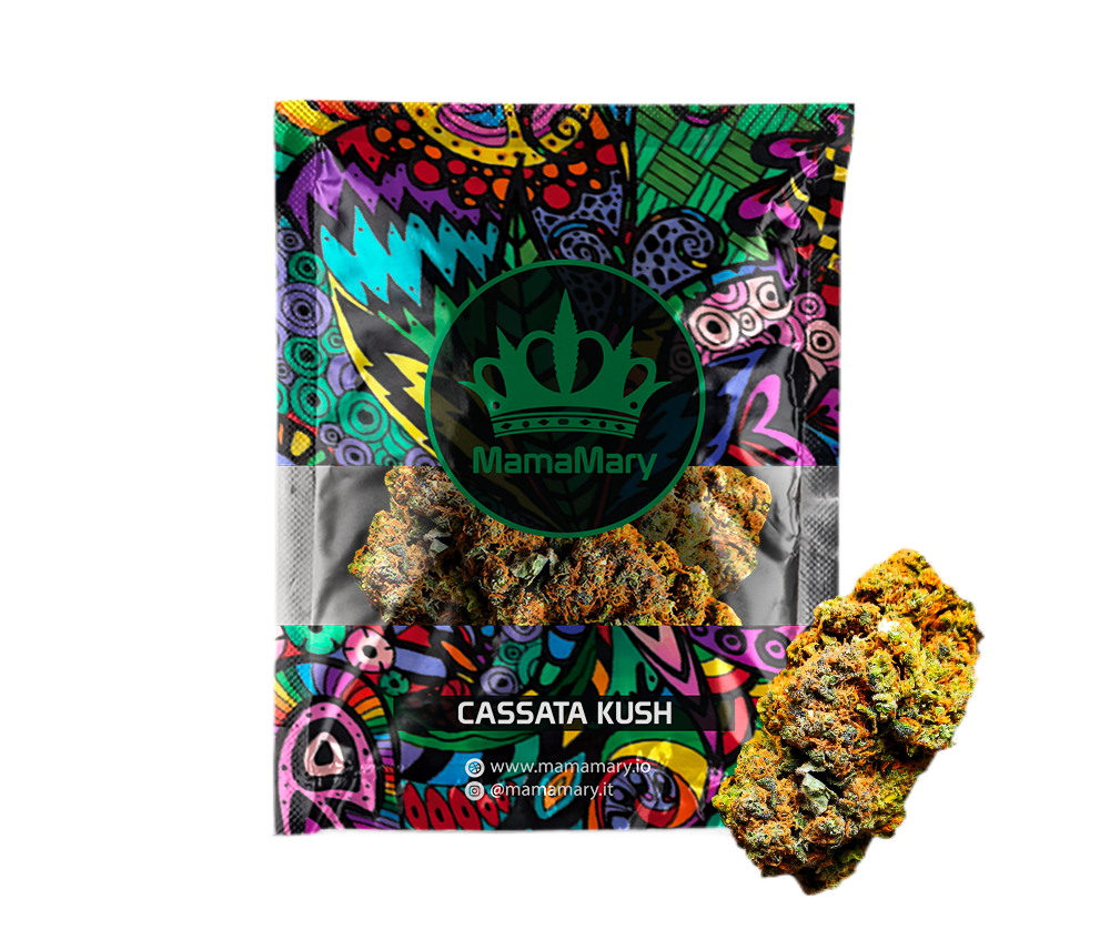 Cassata Kush | CBD +30 %