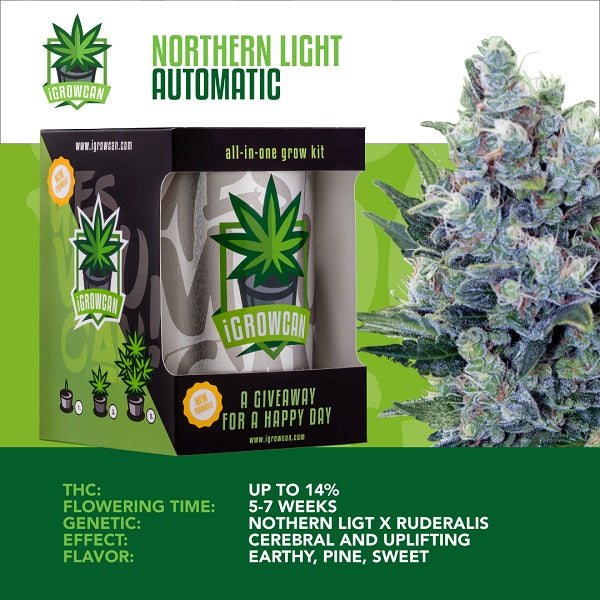 Northen Light Automatic