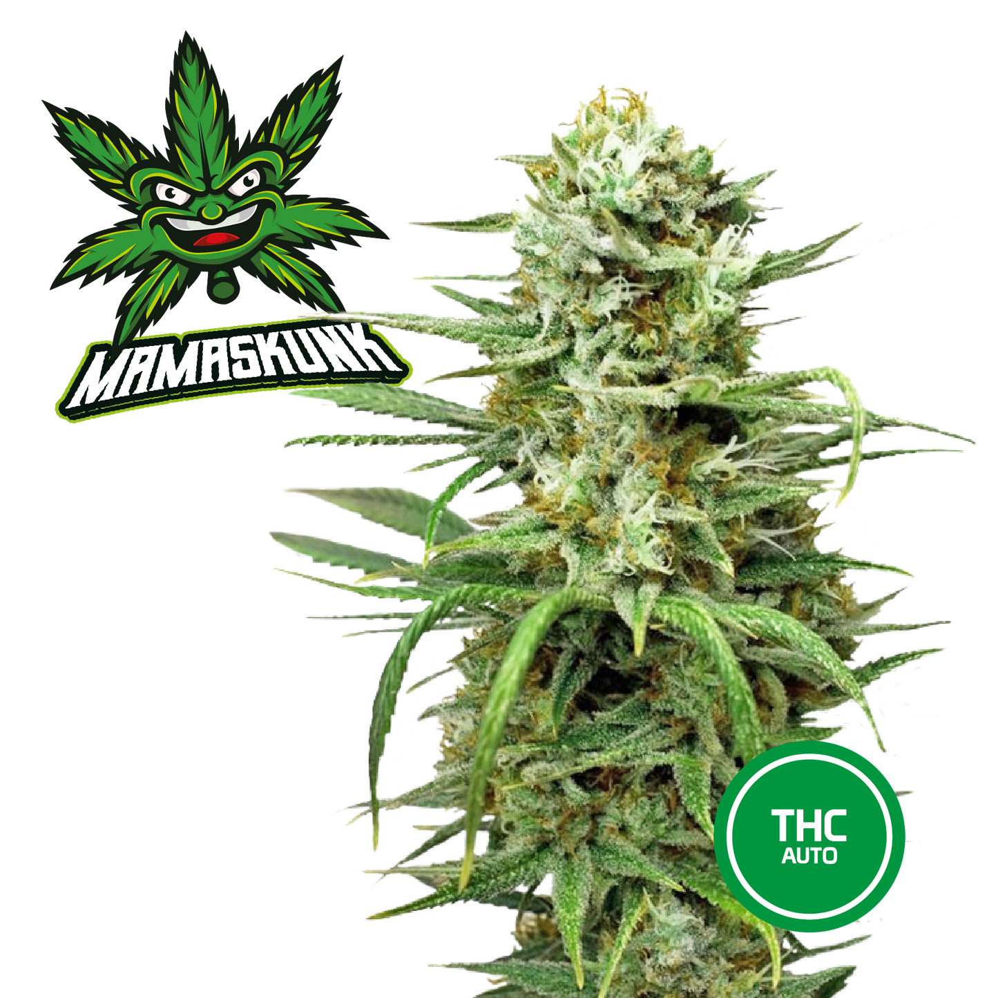 3 Semi Cannabis da Collezione MAMASKUNK - mamamary