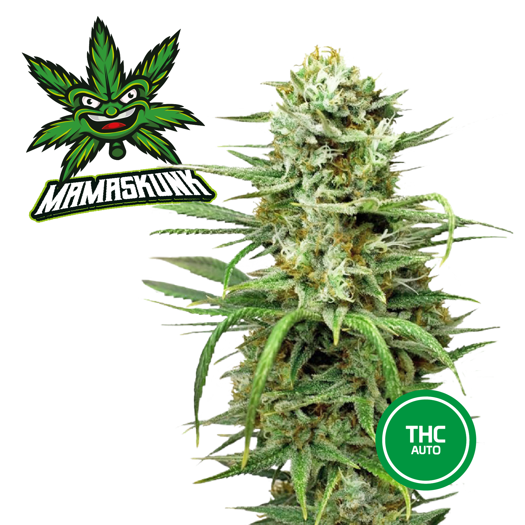 3 Semi Cannabis da Collezione MAMASKUNK - mamamary