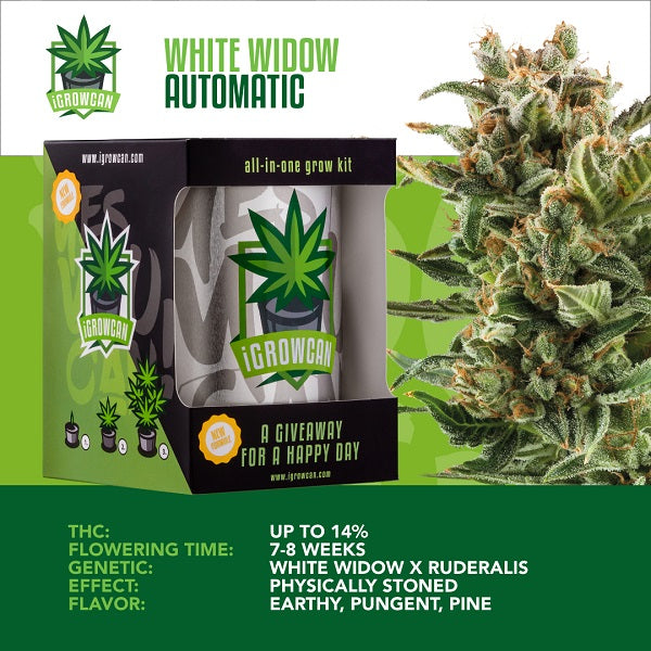 White Widow Automatic