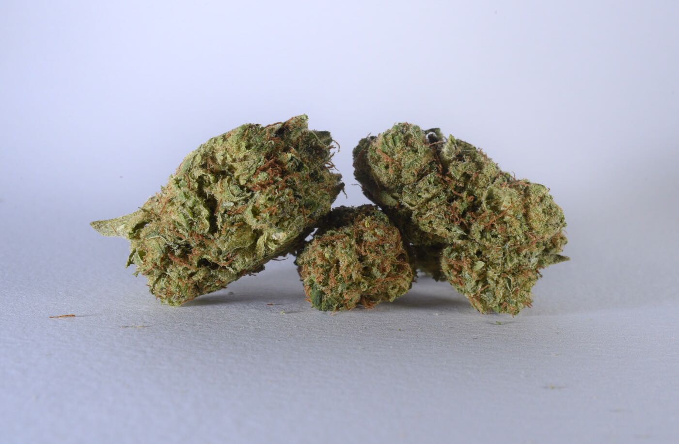 Lemon Haze | CBD < 19% < THC 0,2 % | - mamamary